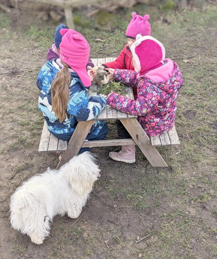 ZOO škôlka Kodymka.