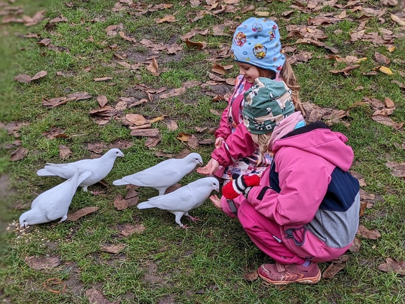 ZOO škôlka Kodymka. Zdroj: https://www.facebook.com/profile.php?id=100085654335008