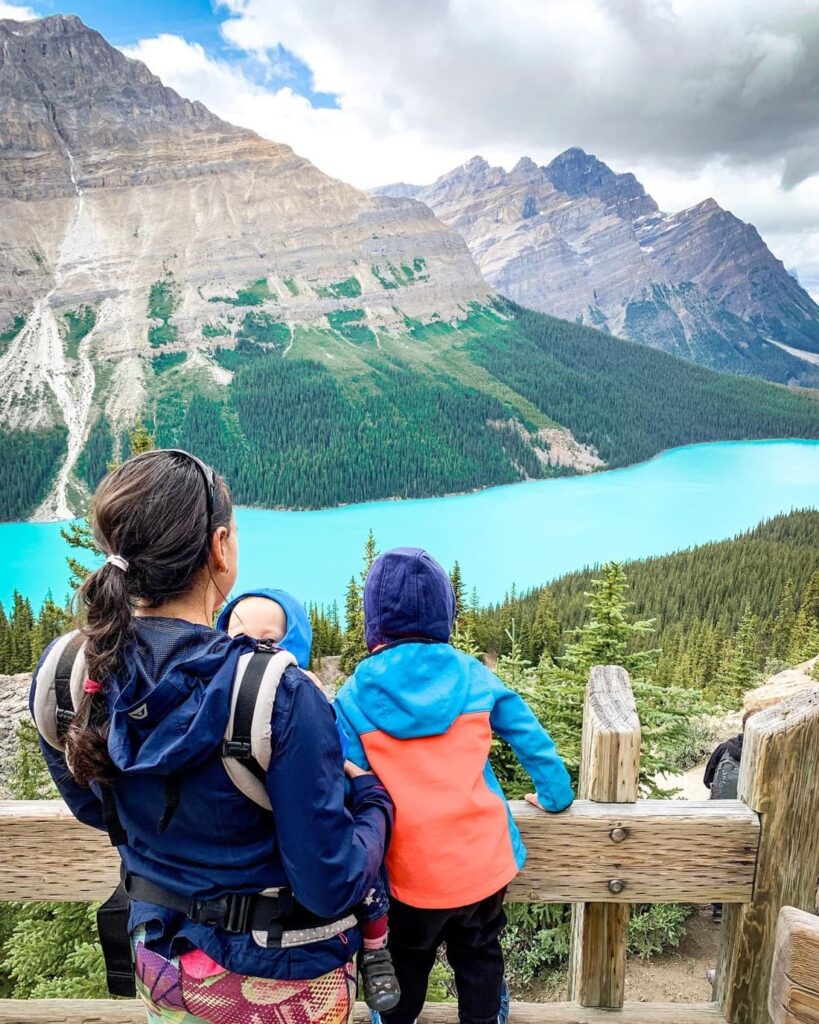 Cestovateľka Barbora. Fox on Board