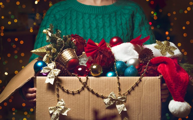 Vianoce sa pomaly, ale isto blížia. Máte už vybrané ozdoby a dekorácie do vašej domácnosti?