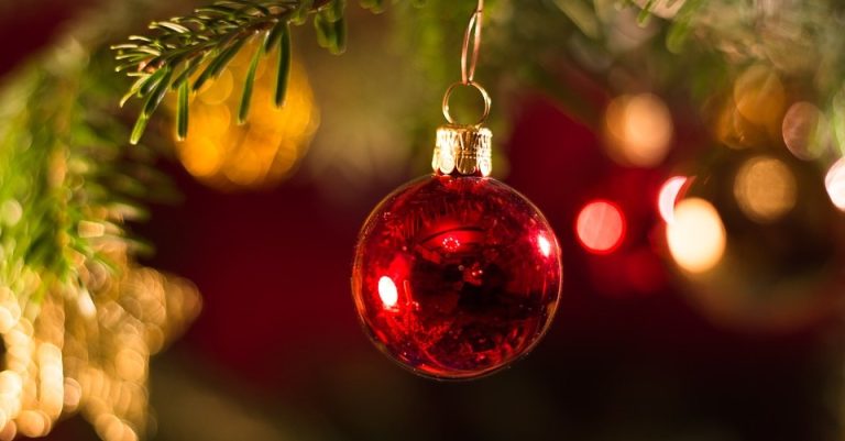Toto bol najdrahší vianočný stromček roka 2019