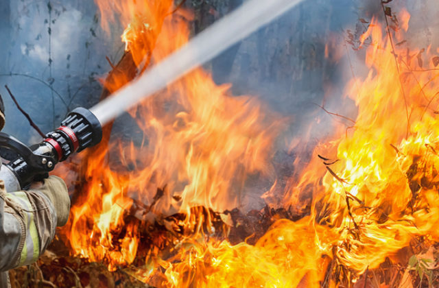Vo Vojenskom obvode Záhorie zhorelo sedem hektárov lesa, požiar napáchal veľké škody