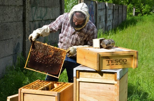 Tesco prekvapilo včelími úľmi pri obchode, pripomenulo si tak Svetový deň životného prostredia