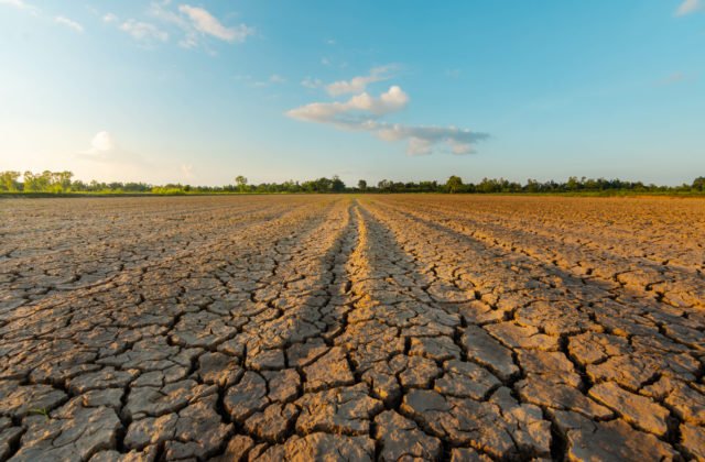 Kaufland a Lidl si stanovili ambiciózne ciele na ochranu klímy. Obe spoločnosti chcú znížiť produkciu prevádzkových emisií CO2 o 80 percent