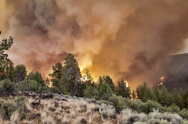 Západ USA sužuje množstvo rozsiahlych požiarov, ohrozujú tisíce domov