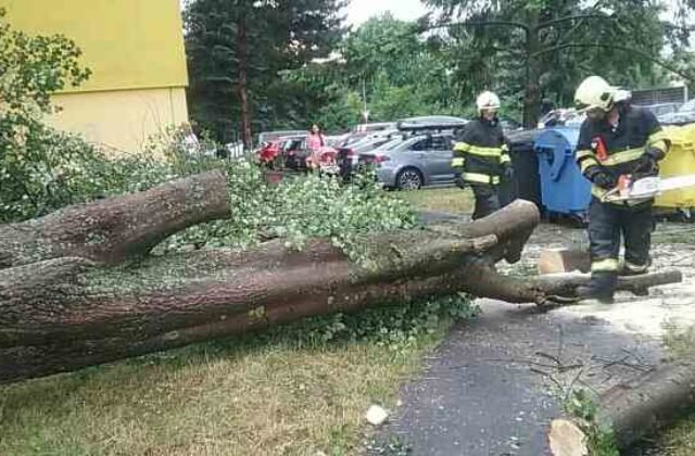Prešovský kraj bojoval s búrkami a silným vetrom, mimoriadna situácia je v šiestich obciach