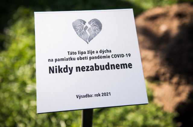 V Žiline si uctili pamiatku obetí pandémie, v mestskom parku vysadili výnimočnú lipu