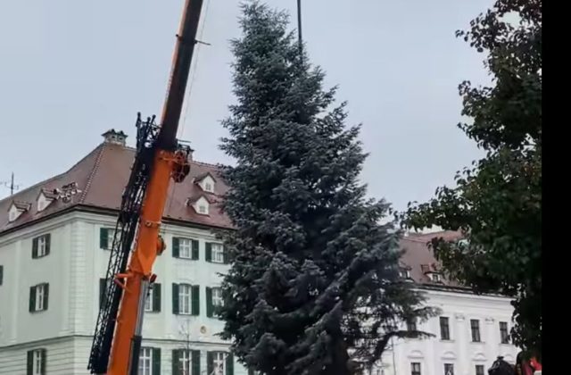 Na Hlavnom námestí v Bratislave už stojí vianočný stromček