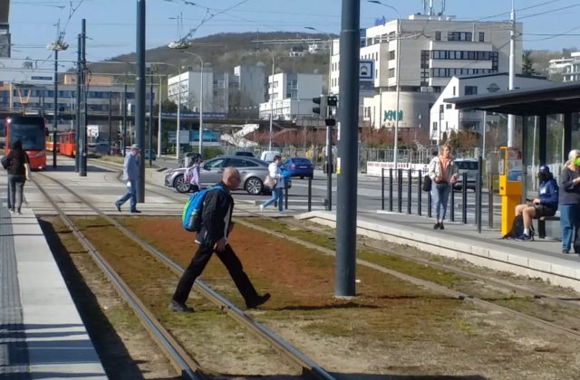 Cestujúci ničia zeleň na Dúbravsko-karloveskej radiále, riešenie zastávok nie je optimálne