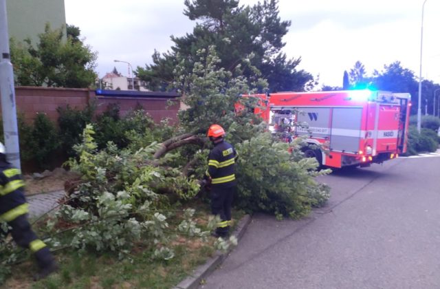 Českí hasiči mali pre silné búrky plné ruky práce, odstraňovali popadané stromy či odčerpávali vodu z pivníc
