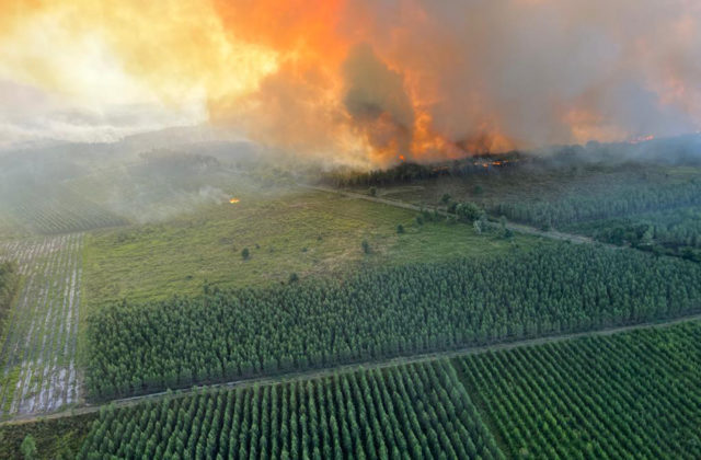 Ľudí z obcí na juhu Francúzska musia hasiči evakuovať, lesné požiare sa rýchlo šíria k obydliam (video)