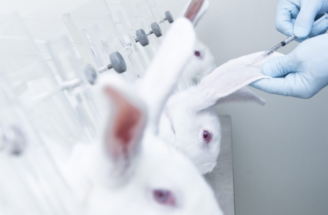 Slovensko sa pridalo ku kampani za koniec testovania na zvieratách, podporiť ju má nové video