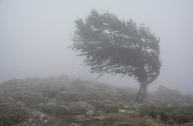 Na horách v troch okresoch Slovenska hrozí mohutná víchrica až orkán, varujú meteorológovia