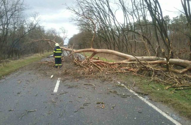 Cestári v Poprade po silnom vetre odstraňujú popadané stromy, autá s letnými pneumatikami mali komplikácie