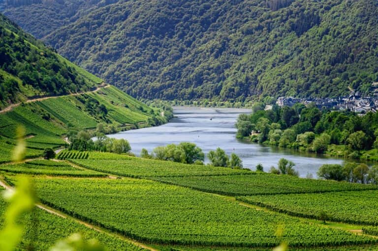 Najznámejšie vinárske oblasti v Európe