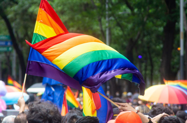 Tohtoročný Dúhový Pride je skutočné volanie LGBTI+ občanov o záchranu, tvrdí SaS