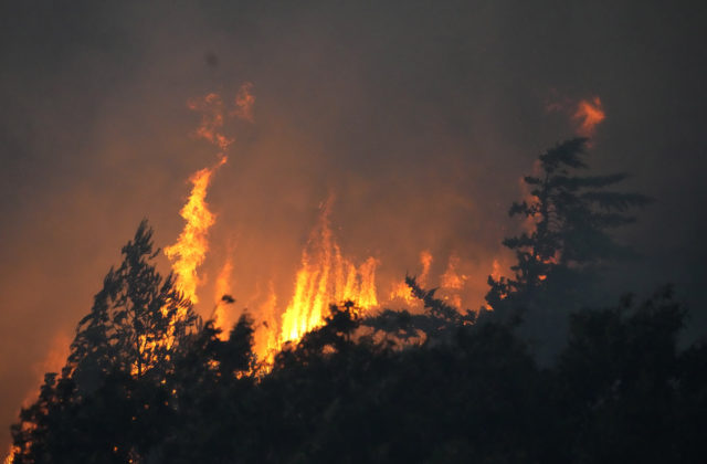 Lesné požiare v Portugalsku zničili tisíce hektárov porastov, padol aj teplotný rekord 46,4 stupňa Celzia (video)
