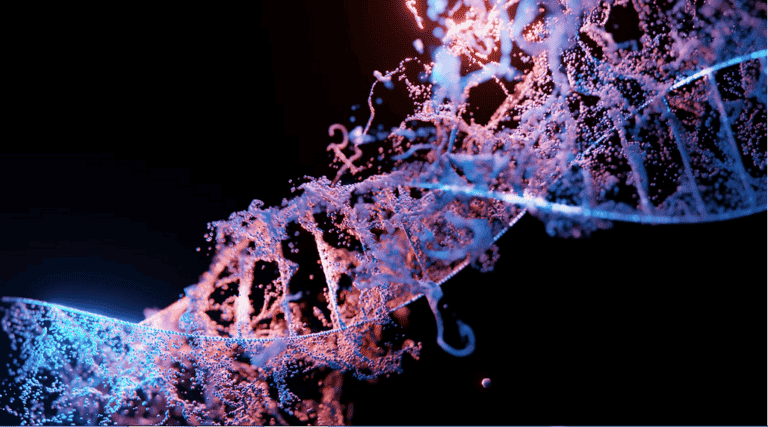 Pochopenie genotypu: Genetický plán života