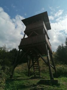 pavčina lehota