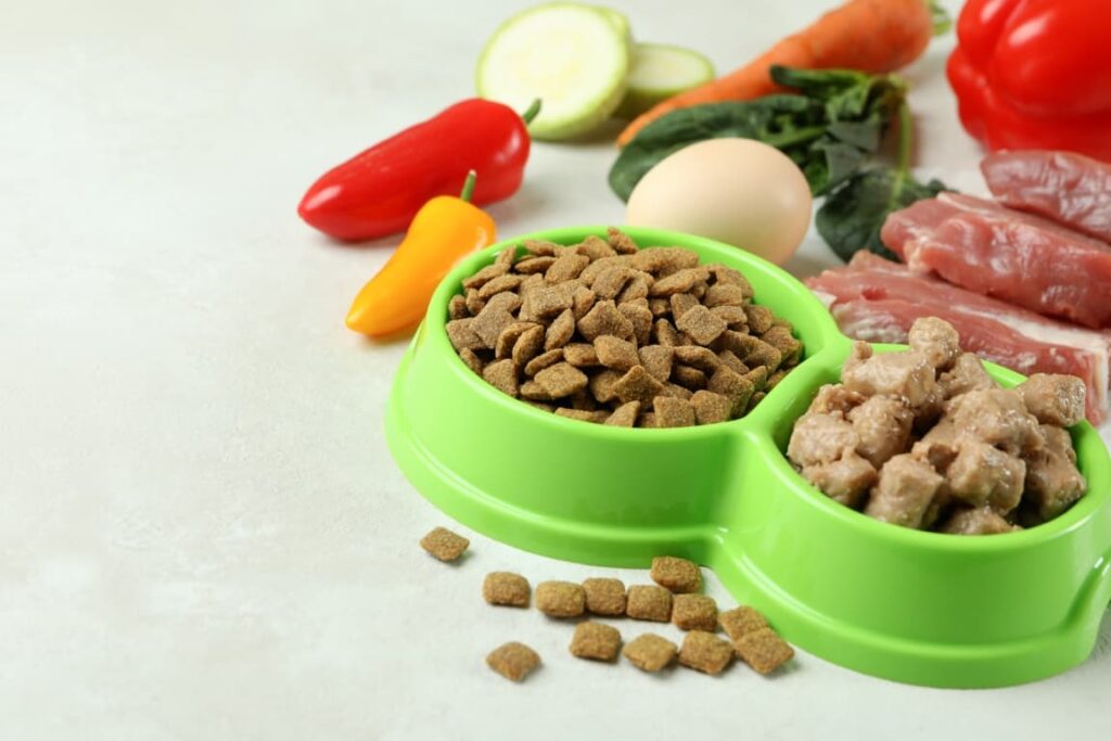 Krmivo pre psov. Concept of organic pet food on white textured background