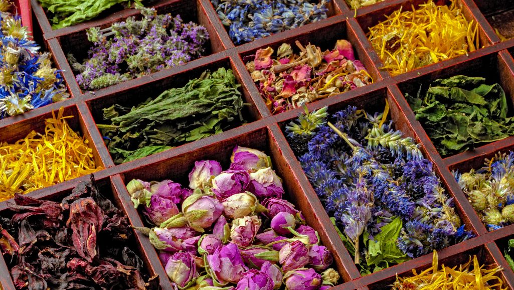 liečivé bylinky liečivé bylinky