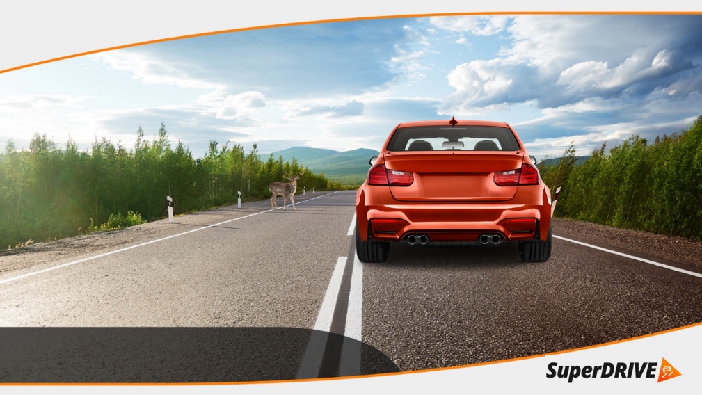 Vodiči. Zver na ceste