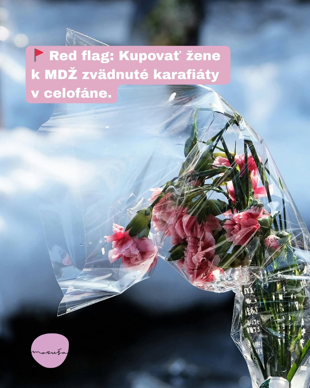 Knižný a rastlinkový SWAP v 365.labb: Oslávte Medzinárodný deň žien v Banskej Bystrici