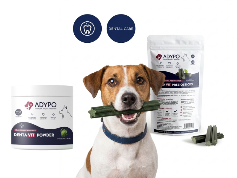 ADYPO KOMBO DENTAVIT proti zubného plaku a zápachu u psov
